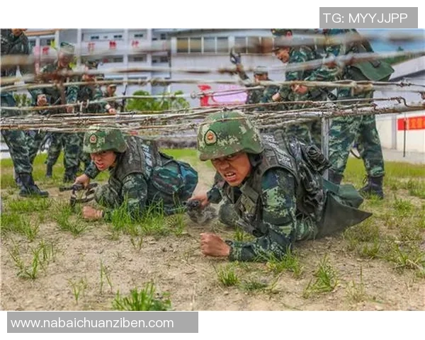 重庆篮球队的奋斗历程与荣耀追寻全景纪实